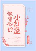 他掌心的小灯盏晋江