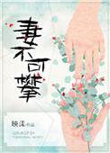 妻不可攀类似