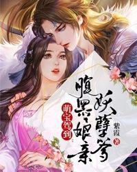 腹黑娘亲天才儿子