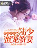 婚途漫漫陆少求放过全文免费