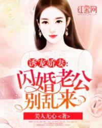 闪婚老公别乱来历如风