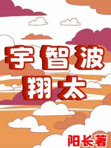 翔太和小智对战