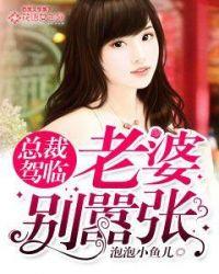 老婆别逃全文免费阅读