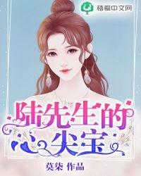 陆先生的心上人全文阅读