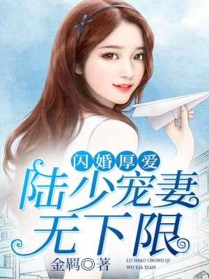 闪婚独宠陆少宠妻有点狂