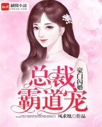 总裁霸道宠娇妻