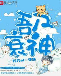 吾甚吾衰矣