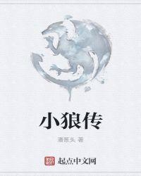 小狼传说行车记录仪时间怎么调