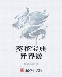 网游葵花宝典