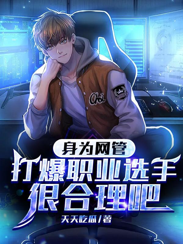 我是一名网管有点是