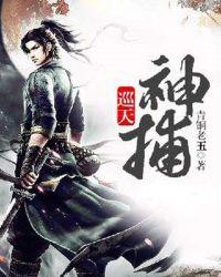 巡游天神打书