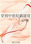 穿到中世纪搞建设百度