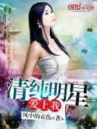 爱上明星的