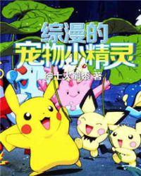 综漫之宠物小精灵系统