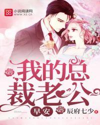 早安我的总裁老公