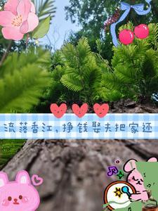 重回七零从夺回空间开始