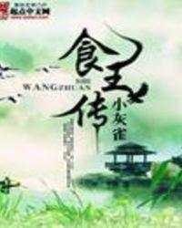 食王传奇电视连续剧