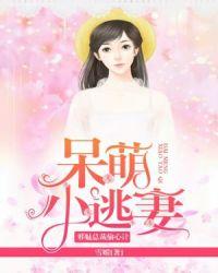 邪魅总裁偷心计呆萌小逃妻免费阅读