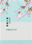 (综影视)陶之娇娇3