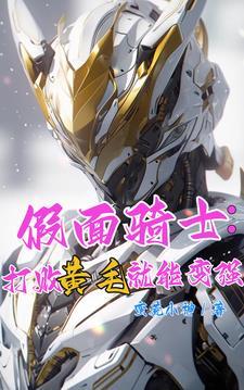 假面骑士进姐夫