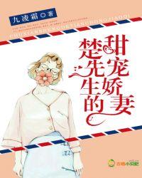楚先生宠妻指南免费阅读