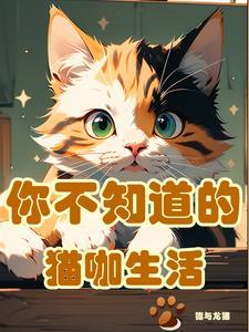 想开个猫咖需要多少本金