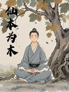 仙本为木简介