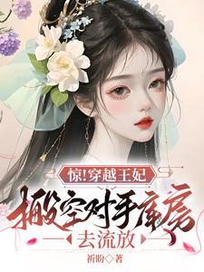 穿越王妃闹古代