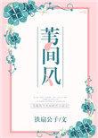 苇间风免费阅读