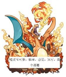 精灵宝可梦搞笑视频大全