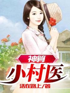 神算小村医境界排序