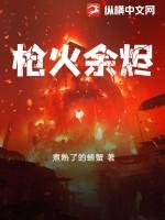 枪火是什么游戏
