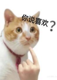 对不起不爱了