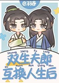 双生夫郎互换人生后全文阅读
