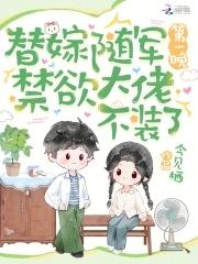 替嫁将军推文