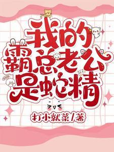 我的霸道总裁老公电视剧