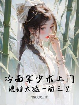 冷面少帅宠妻无下限