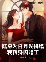 陆总为白月光悔婚我转身闪婚了短剧