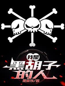 主角在白胡子海贼团