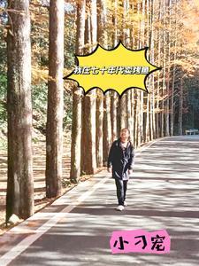 我在七十年代挣粮票书包网