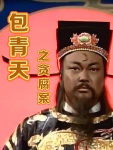 包青天私矿