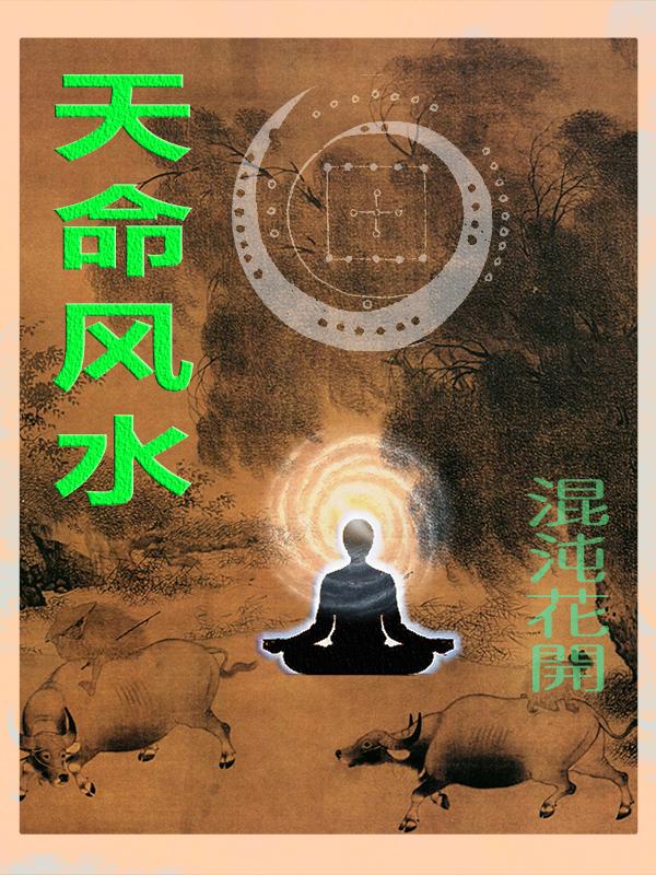 天命风水师姜胜