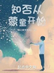 从知否知否当文圣