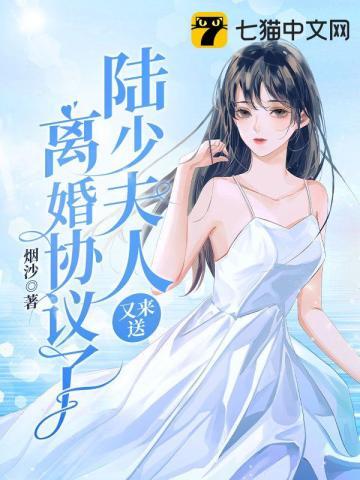 陆少夫人又征婚