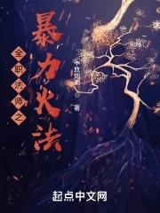 全职法师暴君