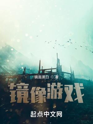 镜象游戏