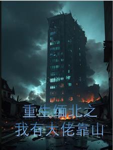 重生缅甸建国的