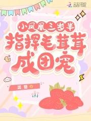 小凤凰叫什么名字