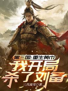 我开局杀了刘备 张新