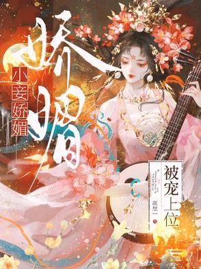 小妾宠爱